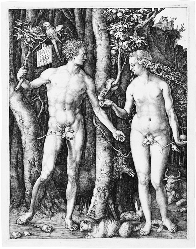 605px-Albrecht_Dürer,_Adam_and_Eve1504,_Engraving